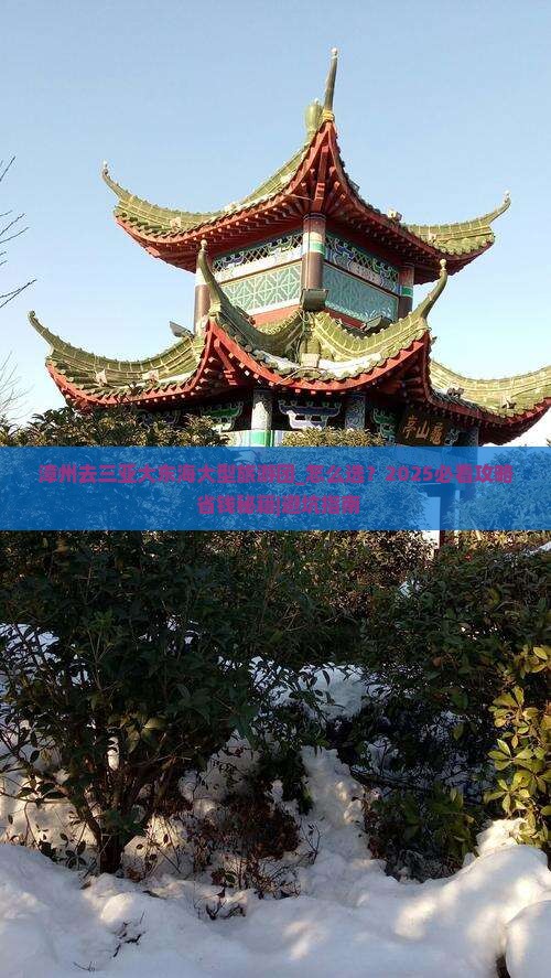 漳州去三亚大东海大型旅游团