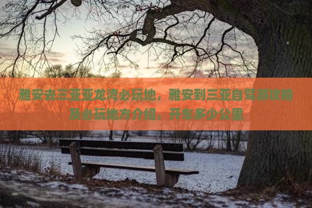 雅安去三亚亚龙湾必玩地