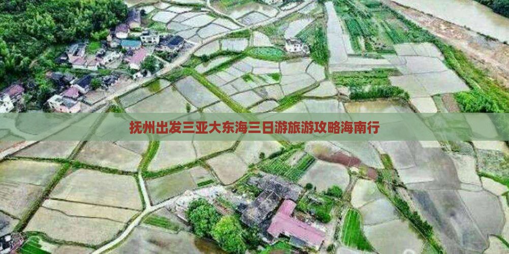 抚州去三亚大东海三日游