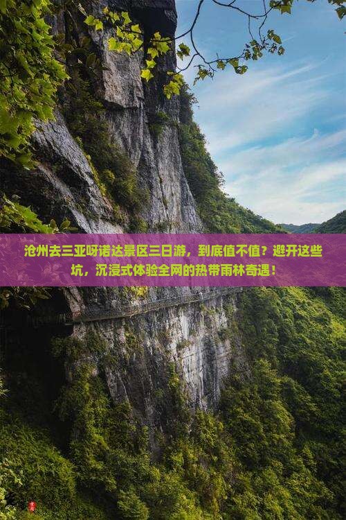 沧州前往三亚呀诺达景区三日游