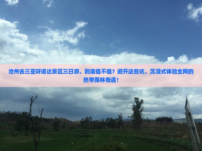 沧州前往三亚呀诺达景区三日游