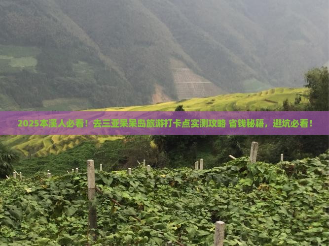 本溪去三亚呆呆岛旅游打卡点