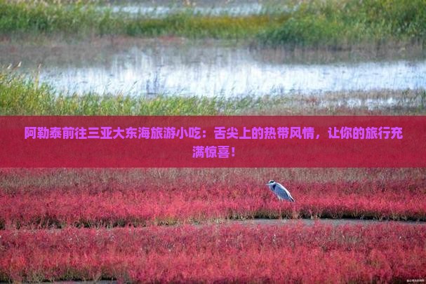阿勒泰前往三亚大东海旅游小吃