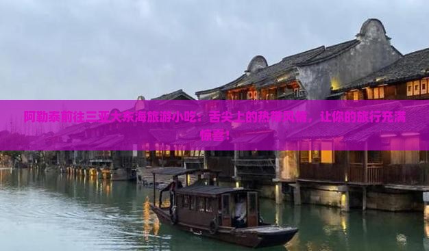 阿勒泰前往三亚大东海旅游小吃