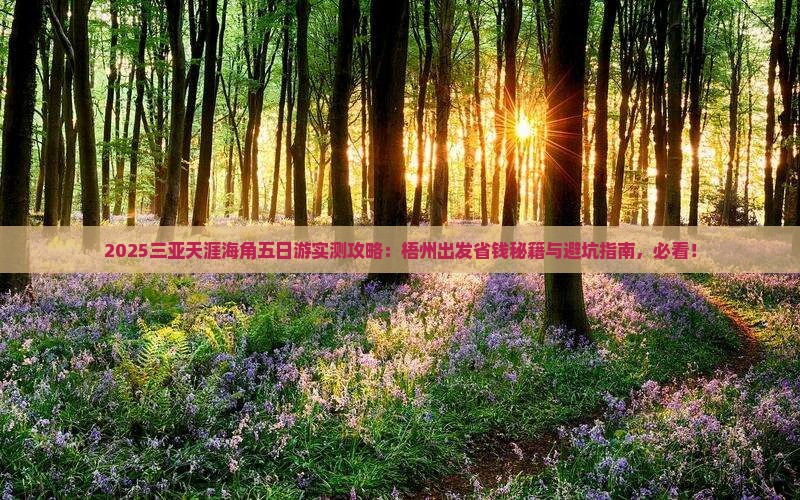 梧州出发三亚天涯海角五日游