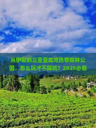 伊犁前往三亚亚龙湾热带森林公园哪里玩