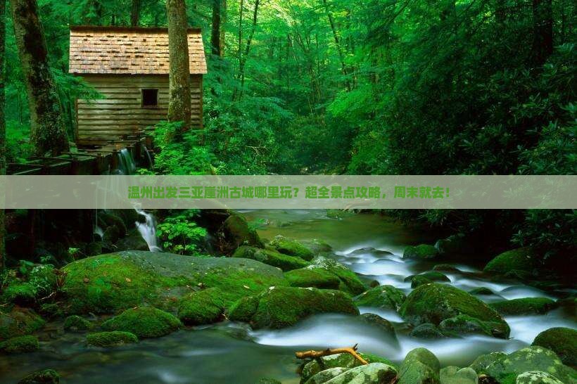 温州出发三亚崖洲古城哪里玩