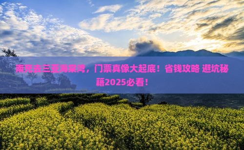 南充前往三亚海棠湾门票