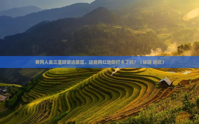 黄冈前往三亚呀诺达景区旅游网红地点