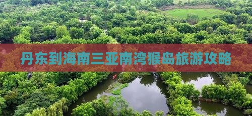 丹东去三亚南湾猴岛自由团