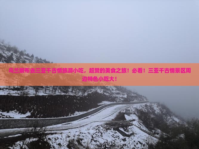 乌兰察布去三亚千古情旅游小吃