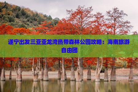 遂宁出发三亚亚龙湾热带森林公园自由团