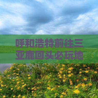 呼和浩特前往三亚鹿回头必玩地