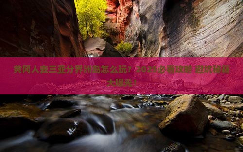 黄冈去三亚分界洲岛团体旅游