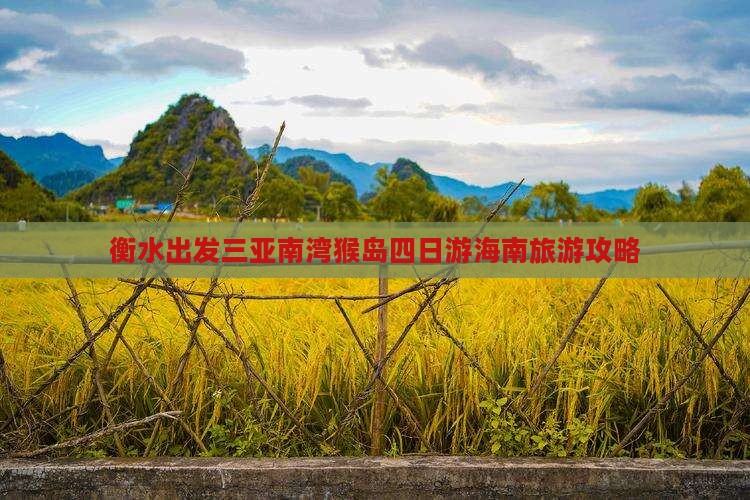 衡水出发三亚南湾猴岛四日游