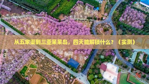 五家渠前往三亚呆呆岛四日游