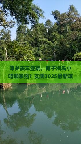 萍乡去三亚椰子洲岛旅游小吃