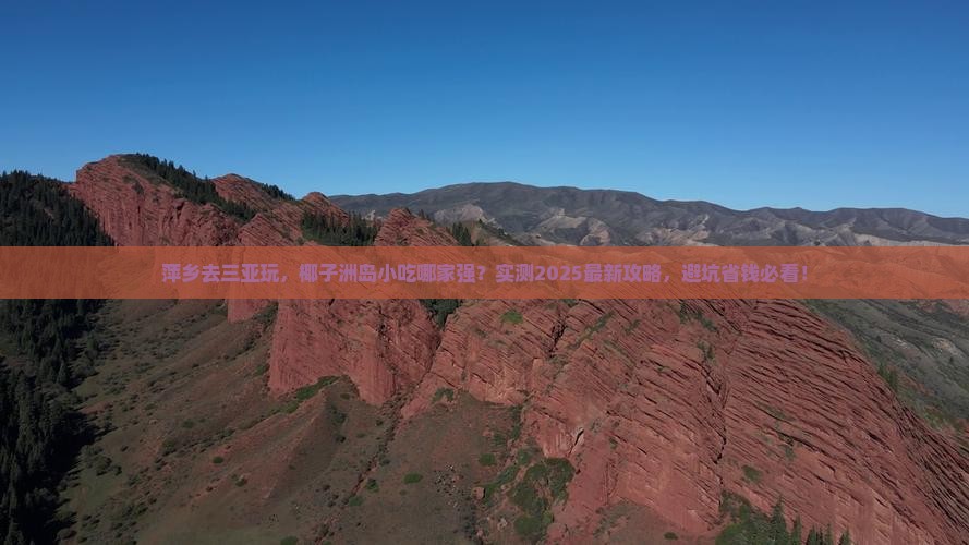 萍乡去三亚椰子洲岛旅游小吃