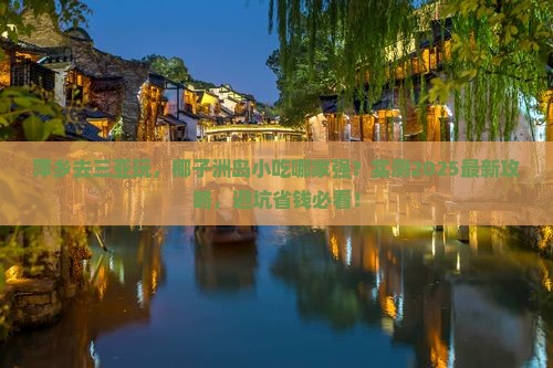 萍乡去三亚椰子洲岛旅游小吃