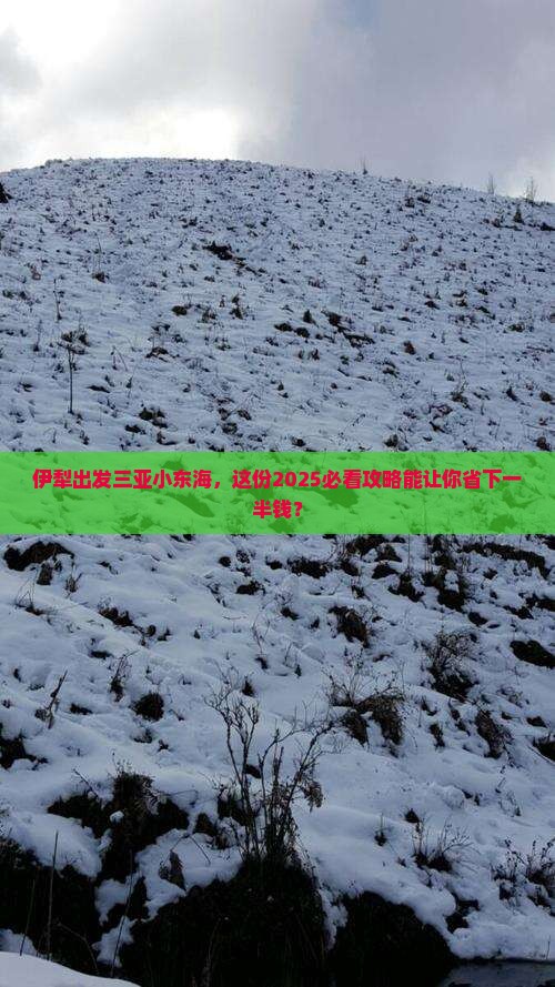 伊犁出发三亚小东海团体旅游
