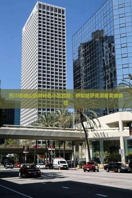 四川青城山旅游特色小吃攻略：伊犁哈萨克游客美食体验