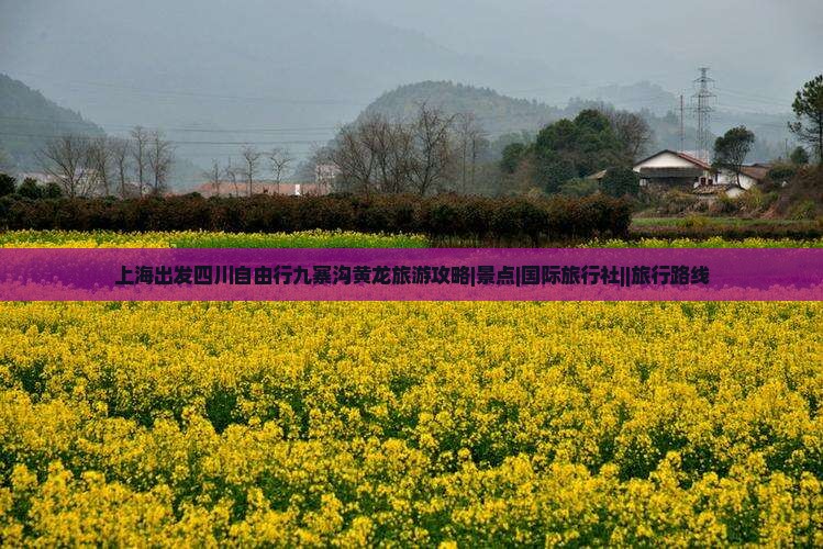 上海出发四川自由行九寨沟黄龙旅游攻略|景点|国际旅行社||旅行路线