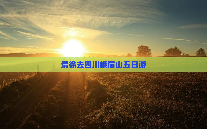 清徐去四川峨眉山五日游
