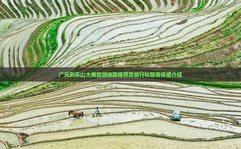 广元到乐山大佛旅游线路推荐及旅行社服务详细介绍