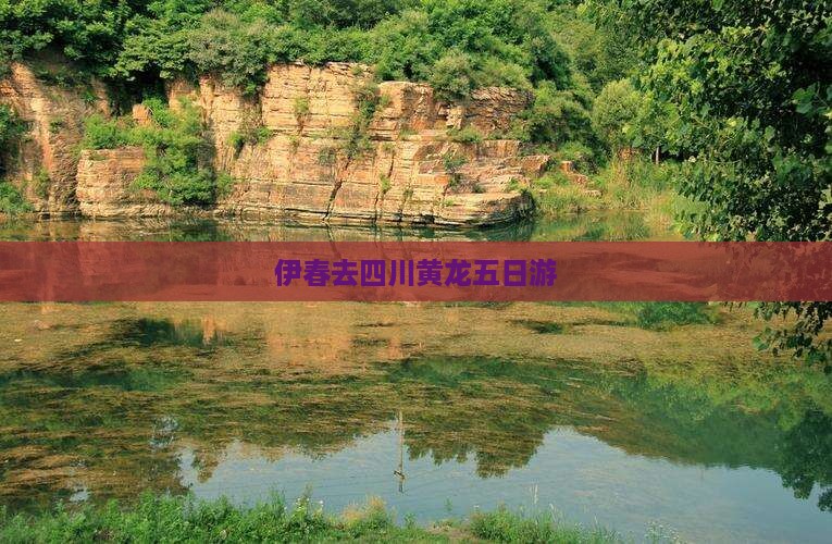 伊春去四川黄龙五日游