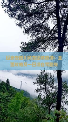 延安去四川黄龙团体旅游：全面攻略及一日游自驾路线