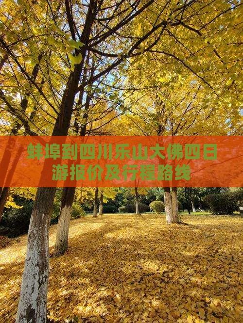 蚌埠到四川乐山大佛四日游报价及行程路线
