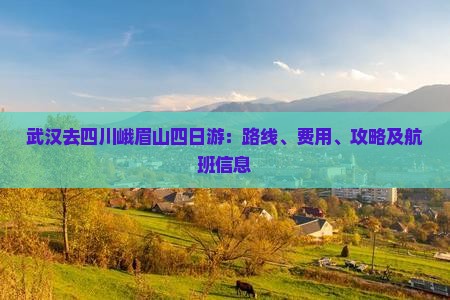 武汉去四川峨眉山四日游：路线、费用、攻略及航班信息