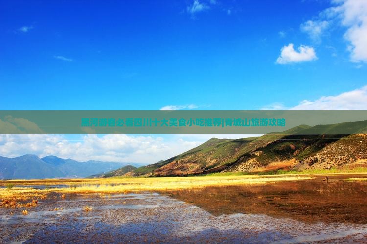 黑河游客必看四川十大美食小吃推荐|青城山旅游攻略