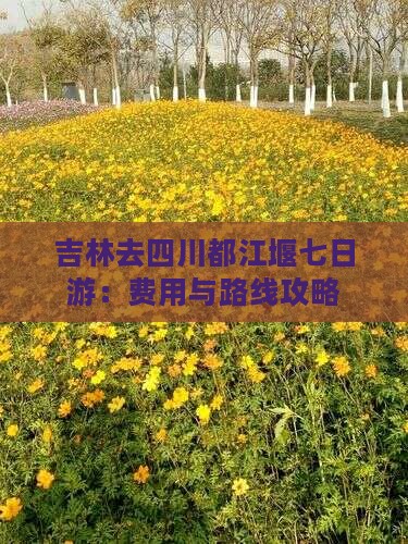 吉林去四川都江堰七日游：费用与路线攻略
