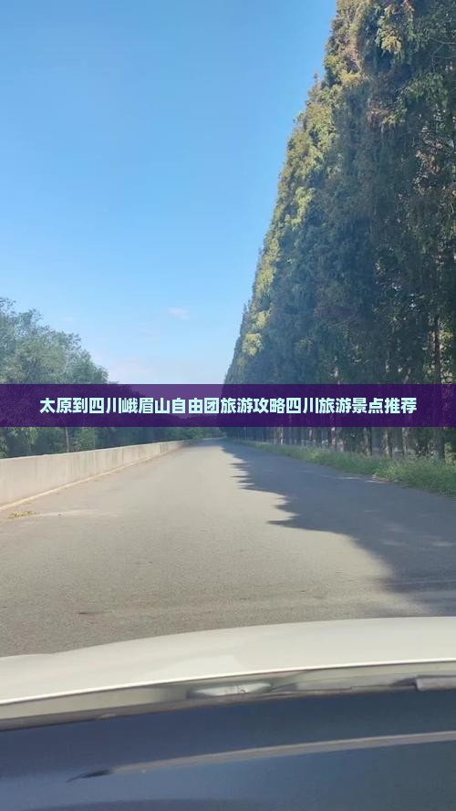 太原到四川峨眉山自由团旅游攻略四川旅游景点推荐