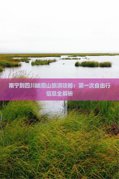 南宁到四川峨眉山旅游攻略：第一次自由行信息全解析