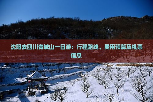沈阳去四川青城山一日游：行程路线、费用预算及机票信息