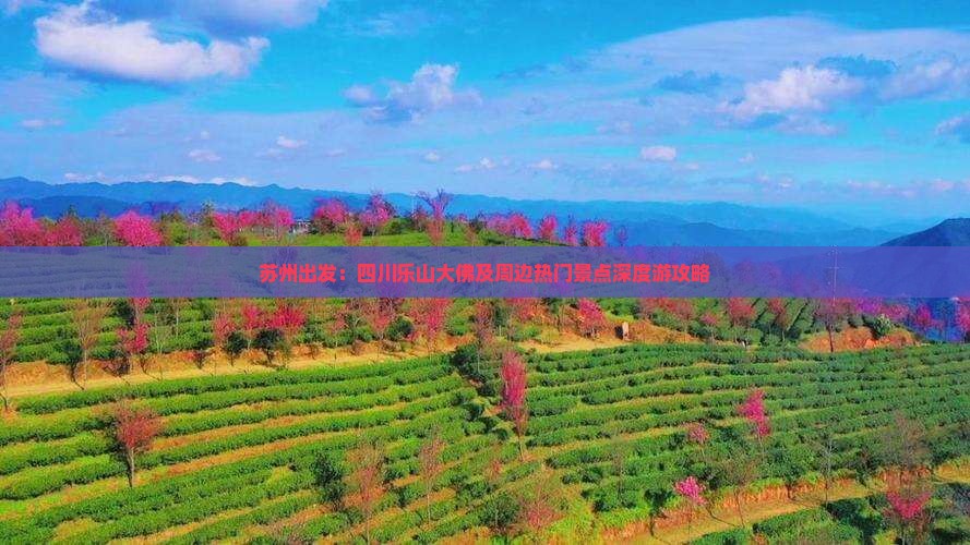 苏州出发：四川乐山大佛及周边热门景点深度游攻略