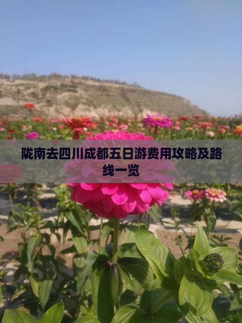 陇南去四川成都五日游费用攻略及路线一览