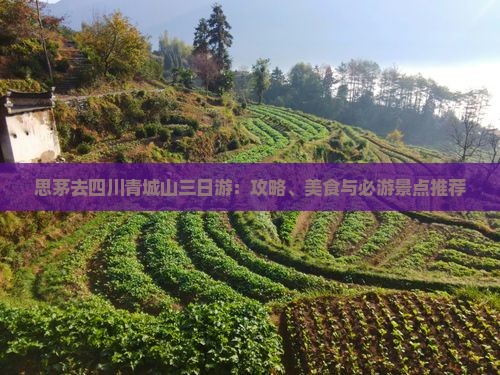 思茅去四川青城山三日游：攻略、美食与必游景点推荐
