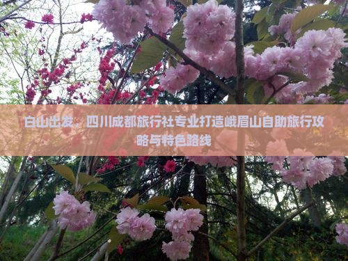 白山出发，四川成都旅行社专业打造峨眉山自助旅行攻略与特色路线