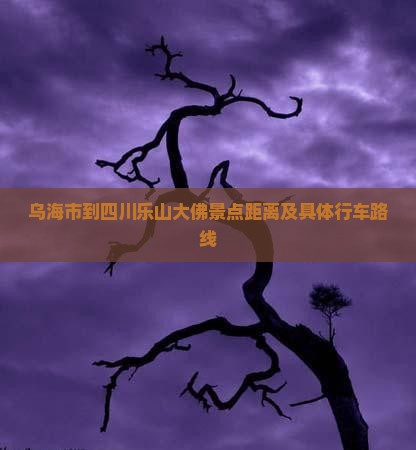 乌海市到四川乐山大佛景点距离及具体行车路线