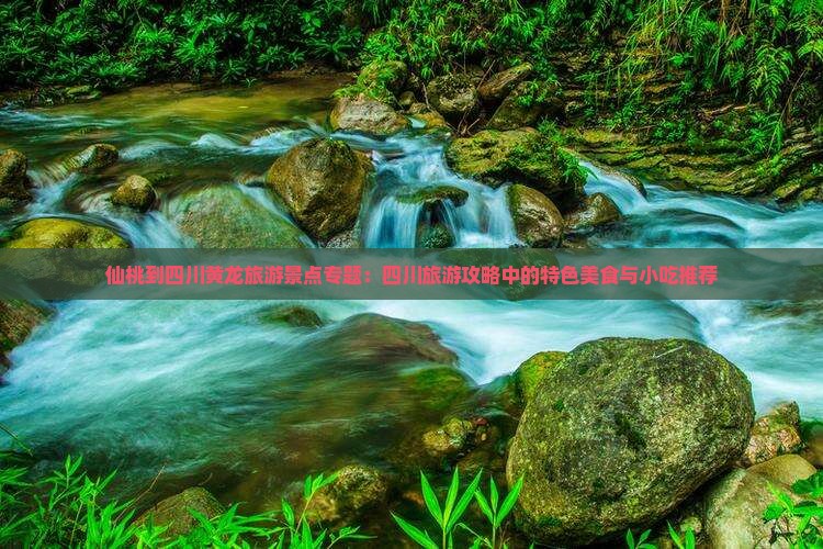 仙桃到四川黄龙旅游景点专题：四川旅游攻略中的特色美食与小吃推荐