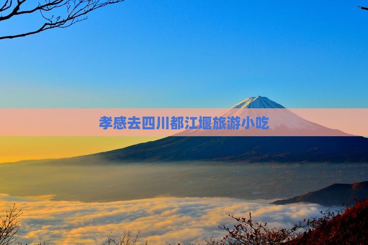 孝感去四川都江堰旅游小吃