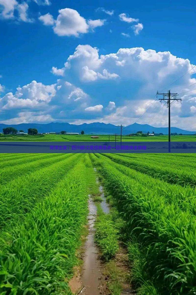 菏泽出发：四川都江堰经典景点一日游路线全攻略