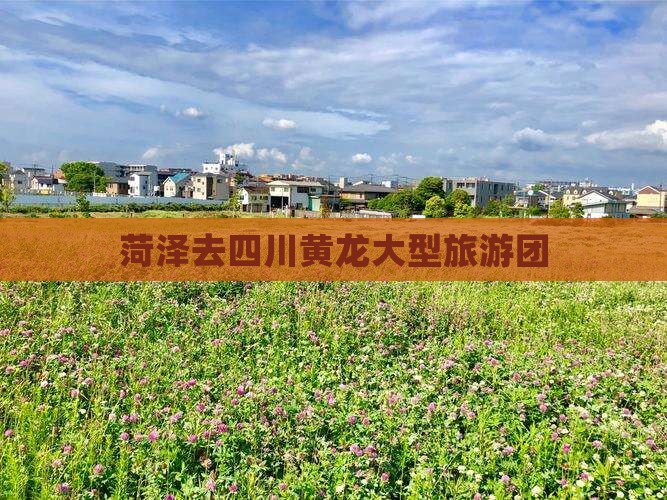 菏泽去四川黄龙大型旅游团