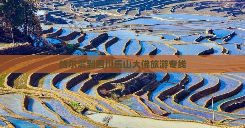 哈尔滨到四川乐山大佛旅游专线