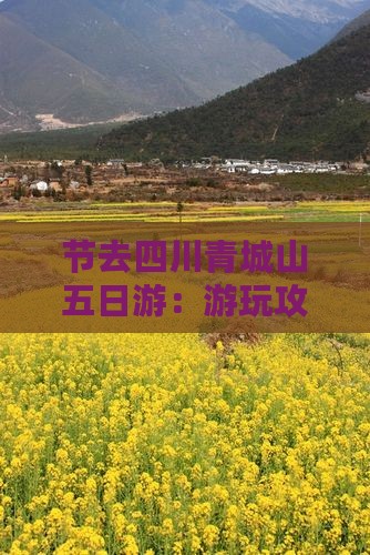 节去四川青城山五日游：游玩攻略与人气分析