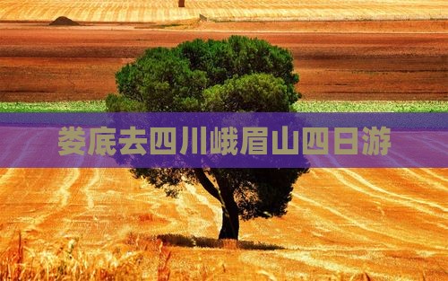 娄底去四川峨眉山四日游