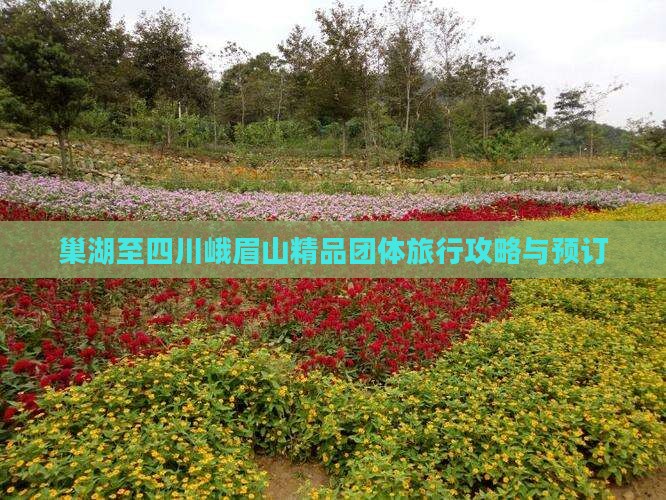 巢湖至四川峨眉山精品团体旅行攻略与预订